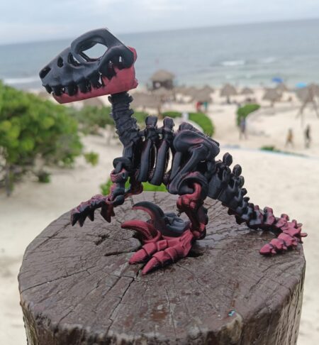 Dinosaurio Skeleton Velociraptor Impreso en 3D