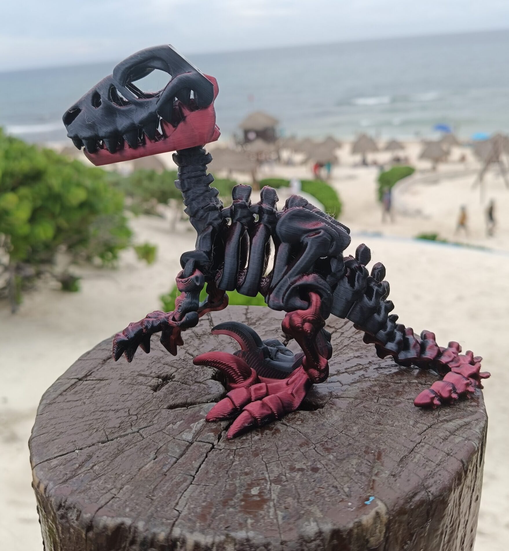 Dinosaurio Skeleton Velociraptor Impreso en 3D